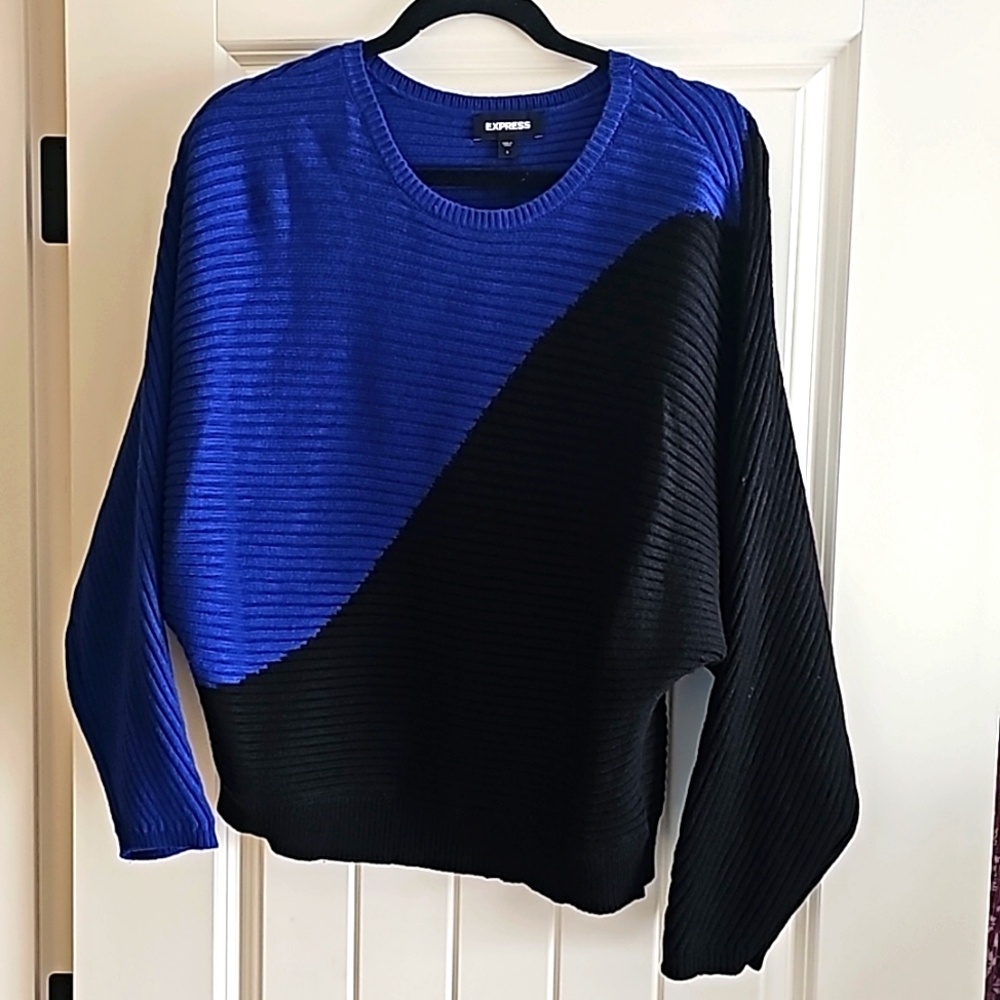 NWT Express sweater